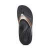 aetrex arch support